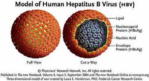 Obat Penyakit Hepatitis B
